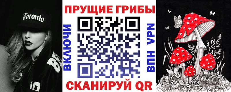 дарк нет как зайти  купить наркоту  Свирск  Псилоцибиновые грибы Magic Shrooms 